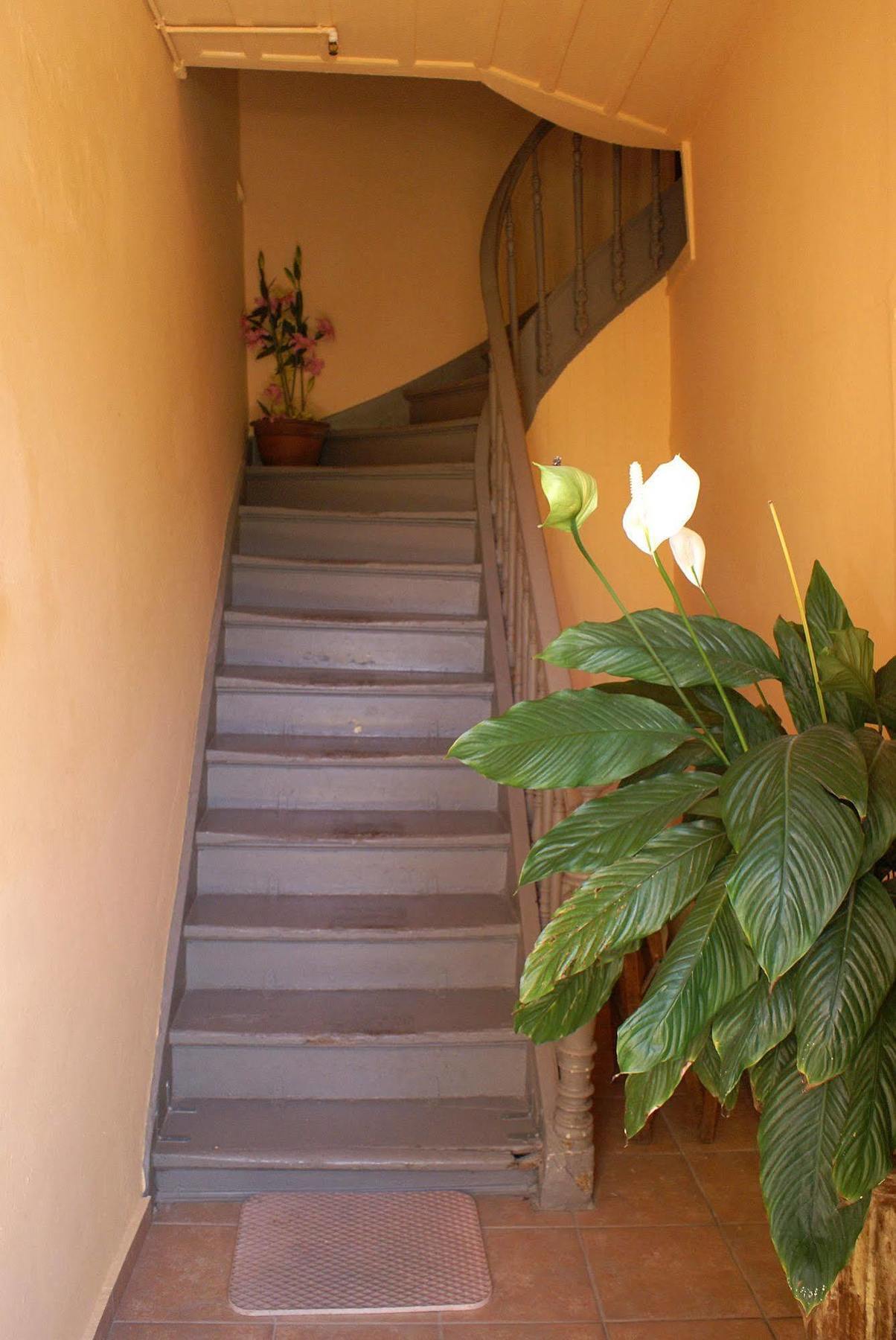 Kydonia Rooms Chania  Exterior photo